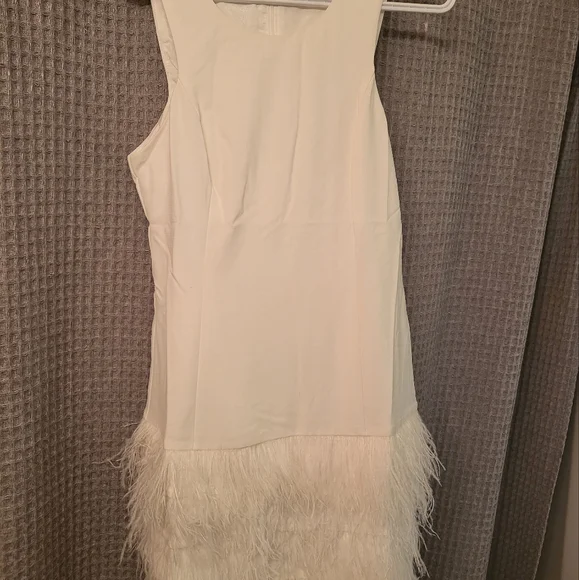 Feather Dress - Picture 3 of 3